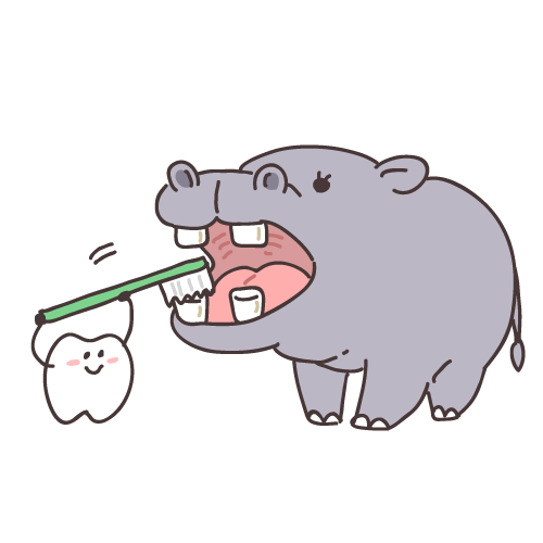 徳島県石井町　そのだ歯科｜歯の詰め物がとれたらどうする？？そのまま放置しても大丈夫？
